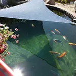 Koi-gartenteich Hotel 2*