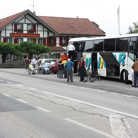 Koi-gartenteich 霍伊瑟恩莫斯