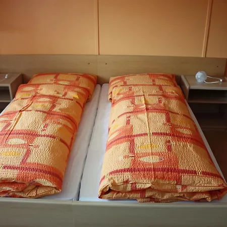 Koi-gartenteich 霍伊瑟恩莫斯