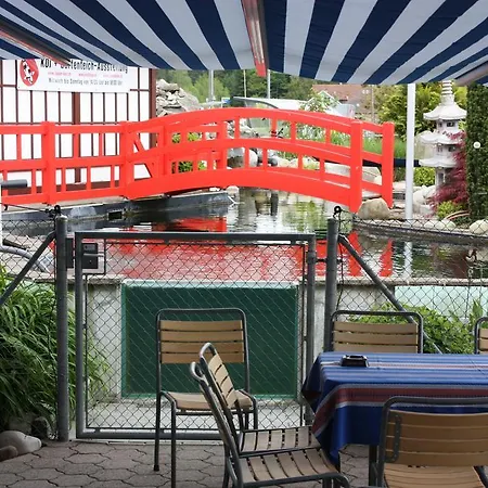 Koi-gartenteich 霍伊瑟恩莫斯