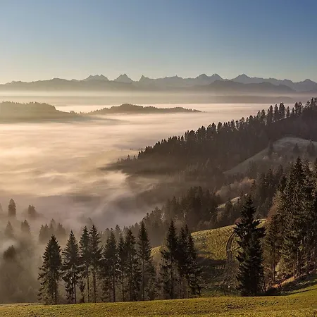Hotel Koi-gartenteich