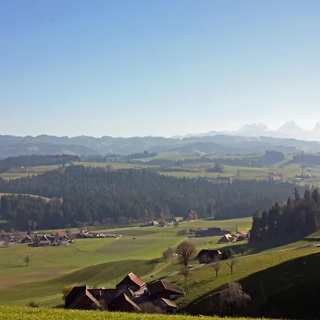 Koi-gartenteich Hotel