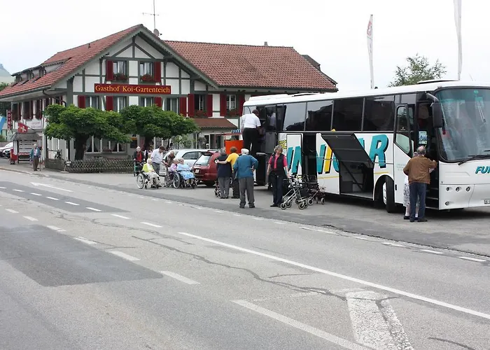 Koi-gartenteich Hausernmoos