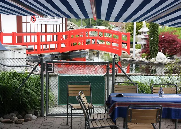 Koi-gartenteich Häusernmoos Bern