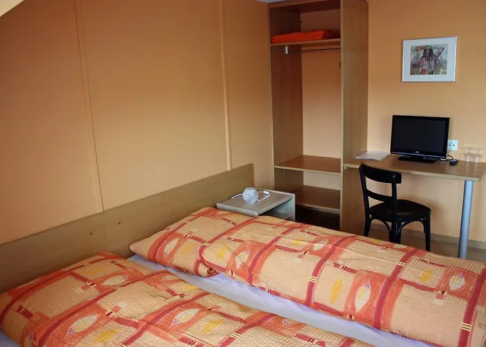 Hotel Koi-gartenteich 2*