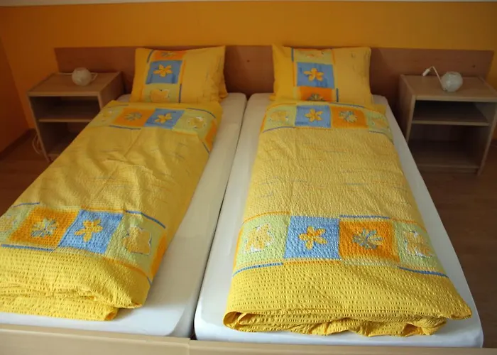 Hotel Koi-gartenteich 2*