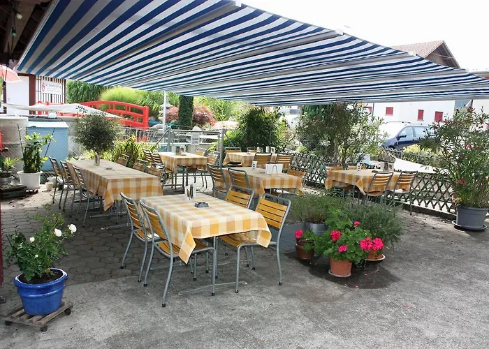 Hotel Koi-gartenteich