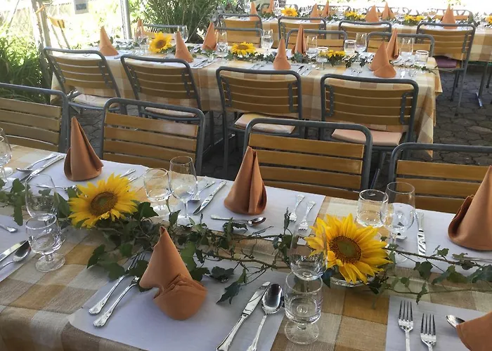 Koi-gartenteich Häusernmoos Bern