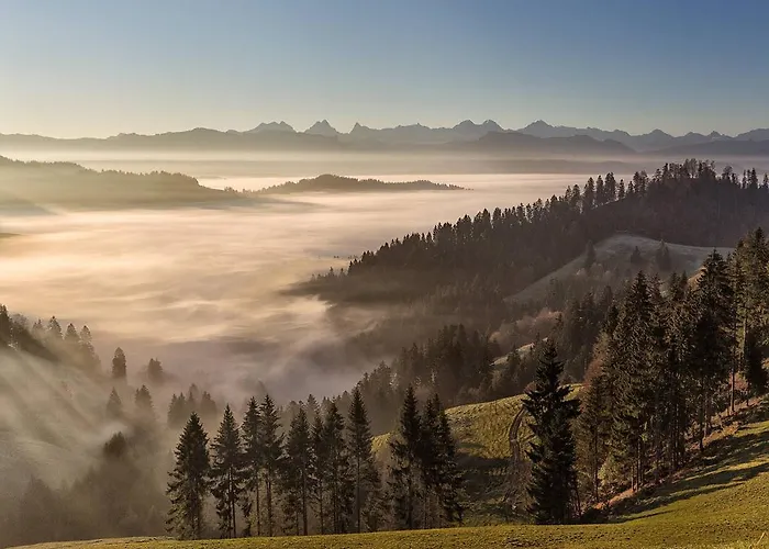 Hotel Koi-gartenteich