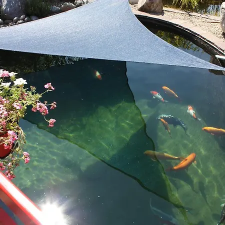 Restaurant Koi-gartenteich Szálloda 2*