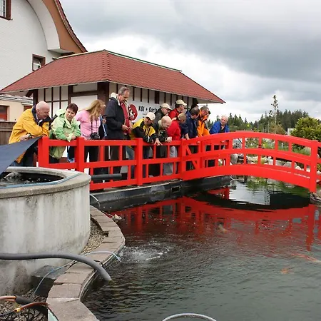 Restaurant Koi-gartenteich 2*