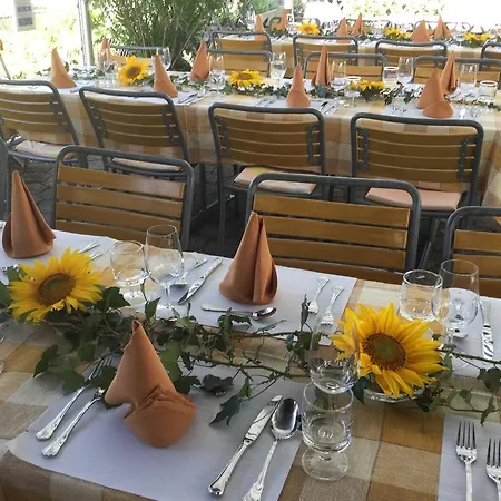 Restaurant Koi-gartenteich Hausernmoos