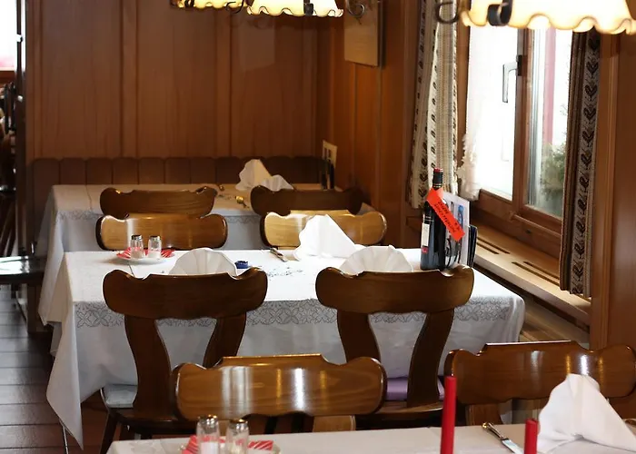 Koi-gartenteich Hausernmoos