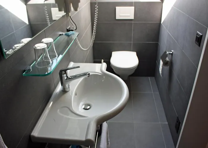 ホテル Koi-gartenteich 2*