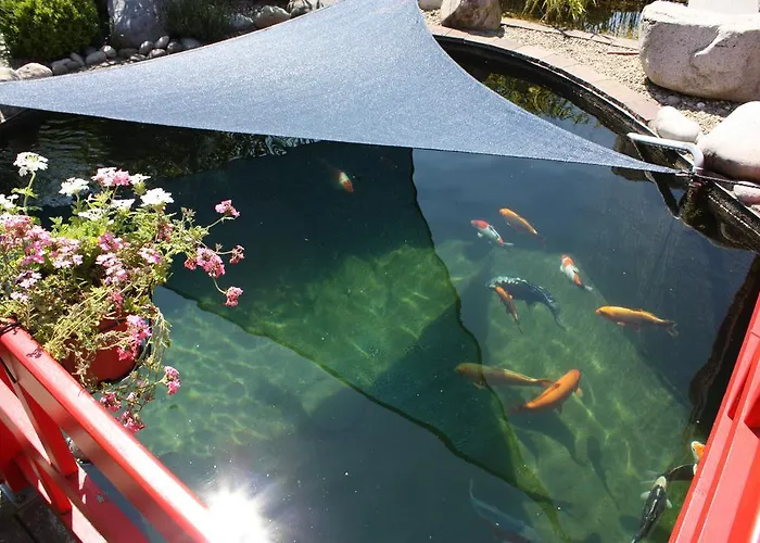 Koi-gartenteich ホテル 2*